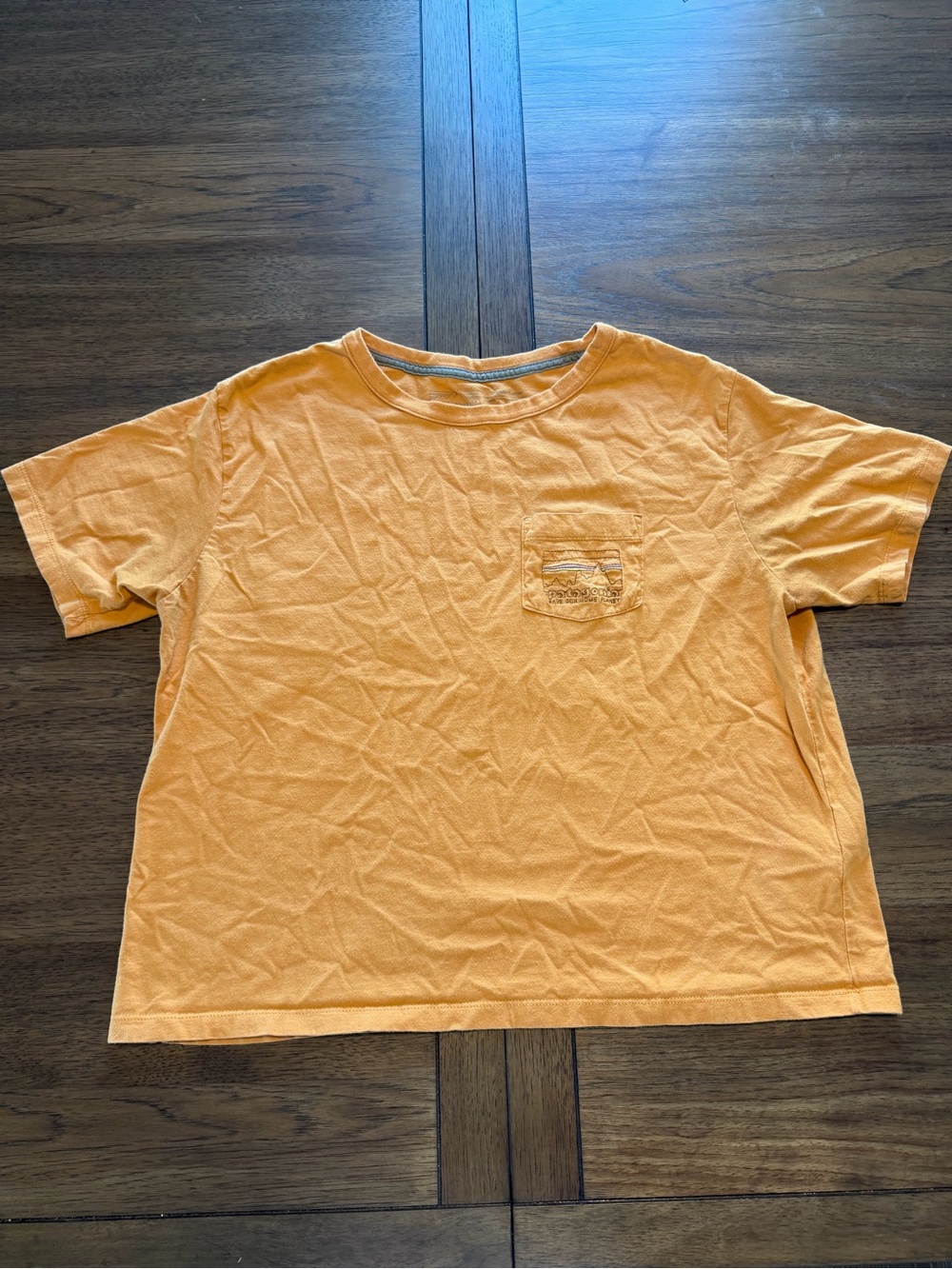 Patagonia Orange Short-Sleeve Pocket Tee